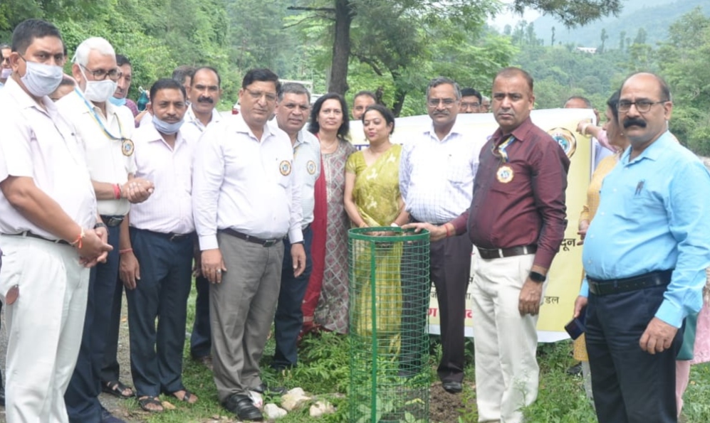 बीमा  सप्ताह का समापन मालदेवता स्थित धाद स्मृति वन में बोतल ब्रश नीलमोहर और अमलतास के पौधे रोपने के साथ हुआ.
