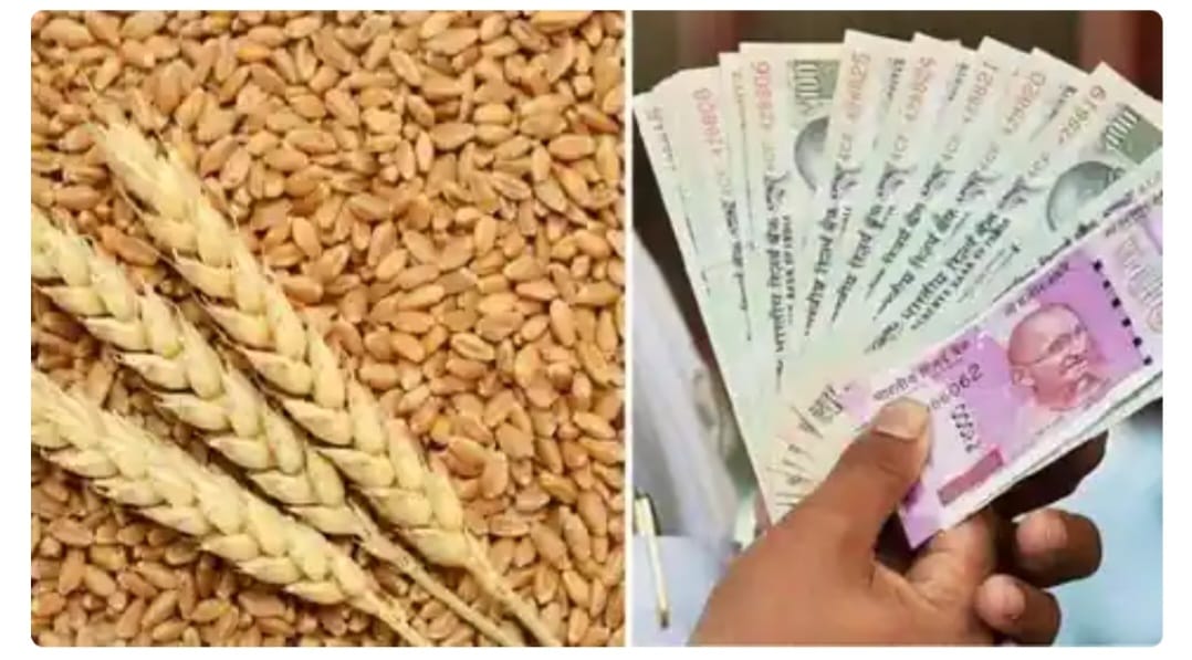 उत्तराखंड : गेहूं और आटे के दामों में इजाफा, 15 फीसदी तक की बढ़ोतरी पर्वतीय क्षेत्रों में ट्रांसपोर्ट खर्च जुड़ने से गेहूं और आटे के मूल्य में बढ़ोत्तरी थोड़ी और ज्यादा है।