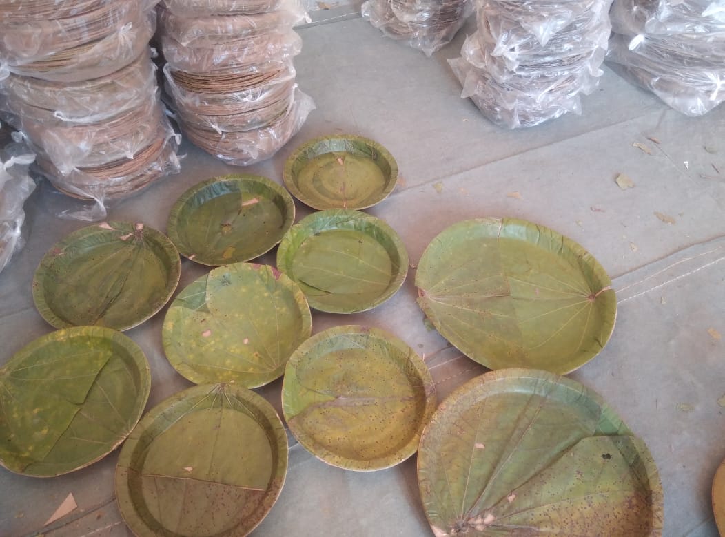 महिलाओं की आर्थिकी  मजबूत करती धामी सरकार… डीएम मयूर दीक्षित  ने अपने हाथ में ली कमान…