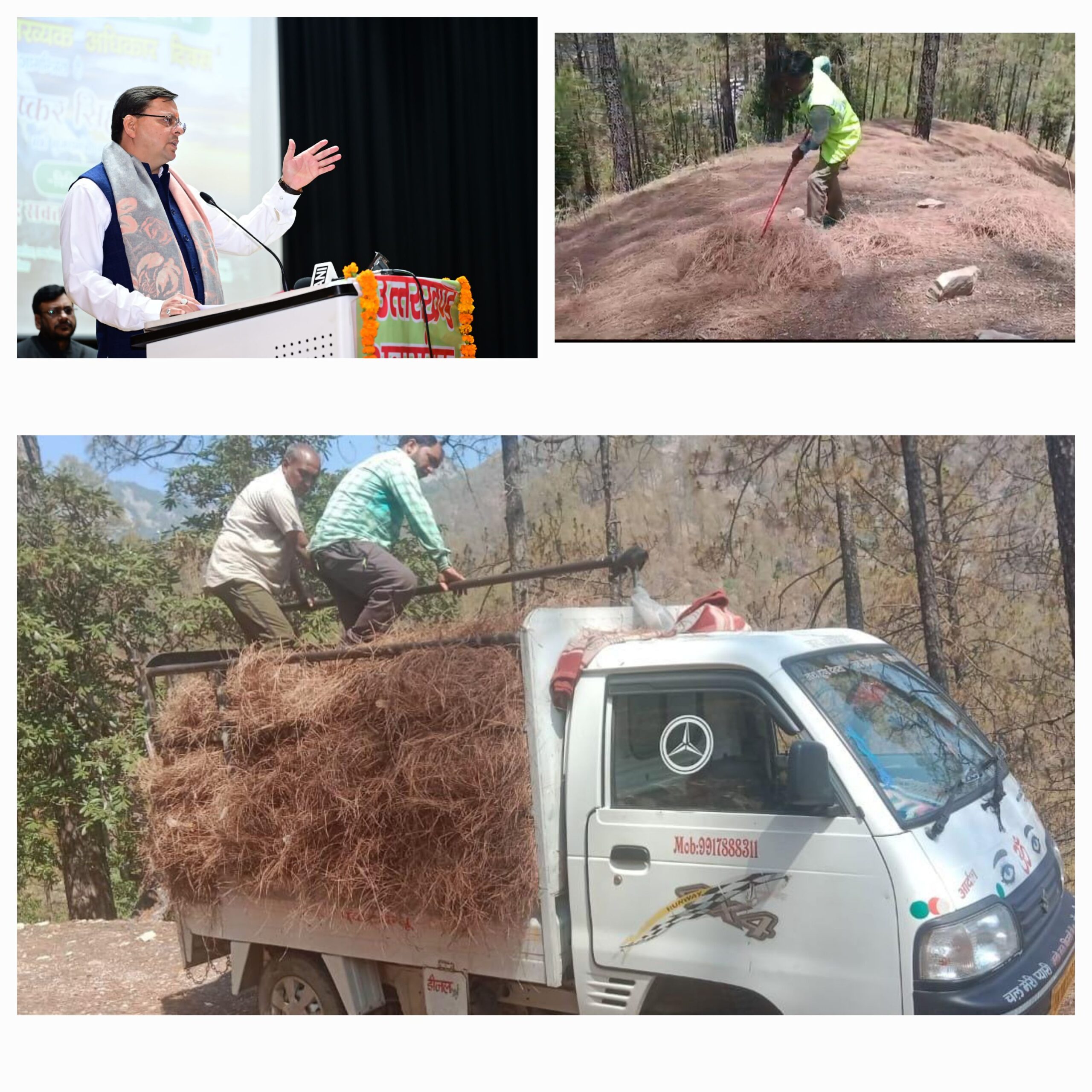 धामी सरकार की “पिरूल लाओ पैसा पाओ” योजना मतलब घर पर रोजगार मिलने के साथ ही रिवर्स पलायन को भी बढ़ावा