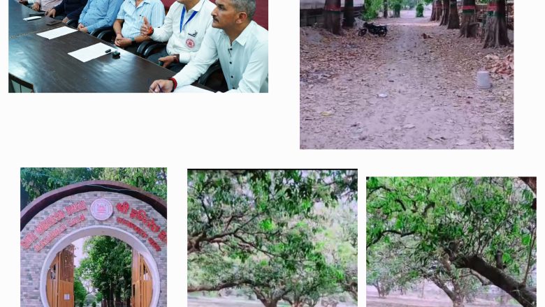 एसजीआरआर के संस्थानों में निर्माण कार्य के साथ हरियाली व पौधरोपण का विशेष सामान्जस्य देखने को मिलता है
